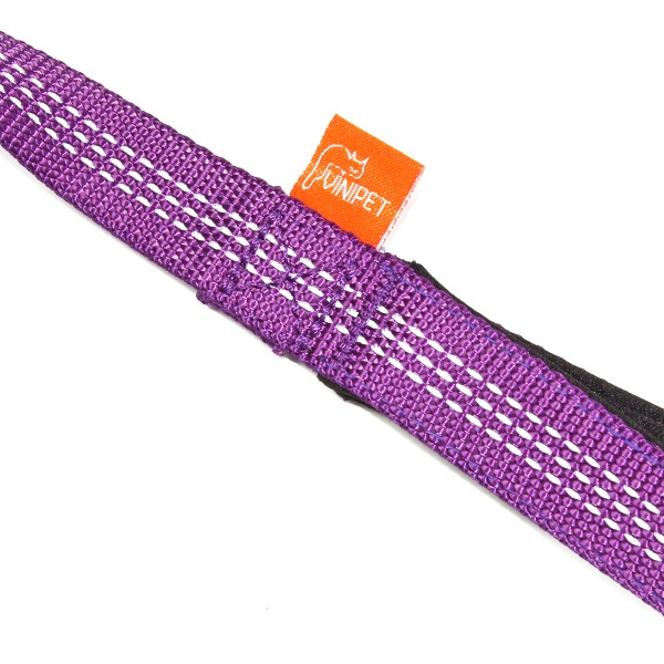 VINIPET 5 Feet Purple Dog Leash