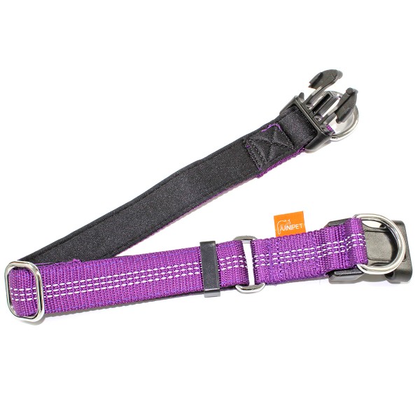 VINIPET Purple Dog Collar